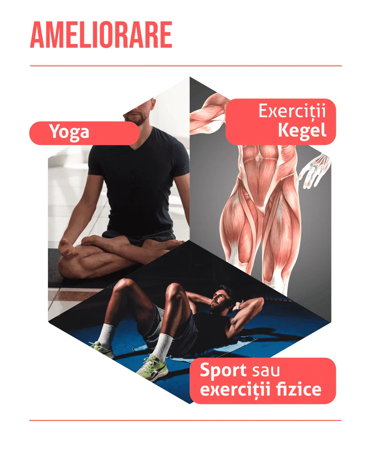 Disfuncția erectilă