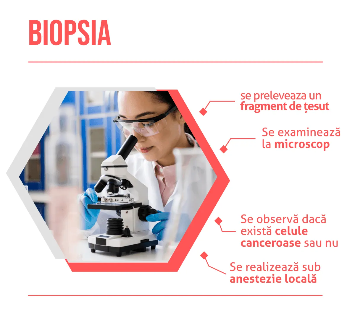 Biopsia