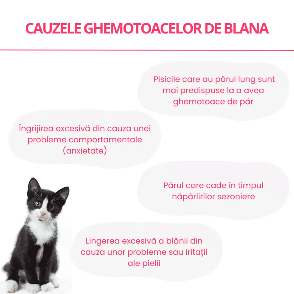 Lipsa poftei de mâncare