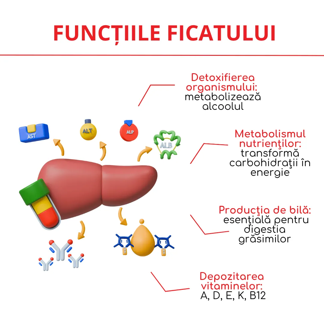 functiile ficatului