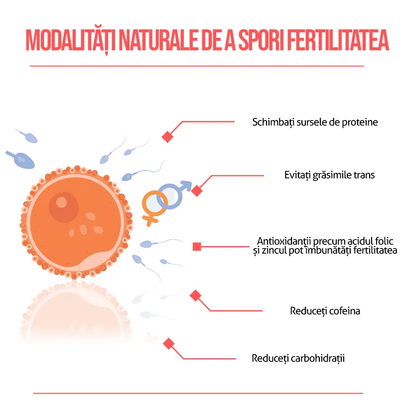 Cum să rămâi însărcinată