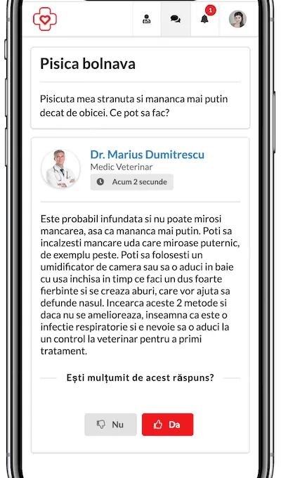 Medic Chat - Cum funcționează